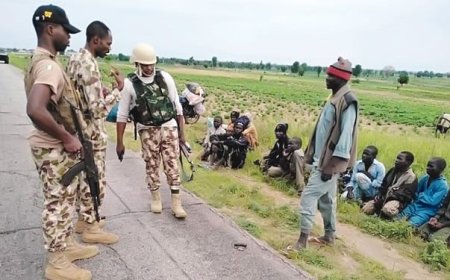 I tore my NCE certificate because we were told that Western education was sin, now I regret doing so —Ex-Boko Haram female member