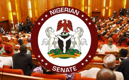 Bill mandating physical offices for bloggers scales second reading