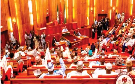Senate probes alleged annexation of Nigerian territories by Cameroon