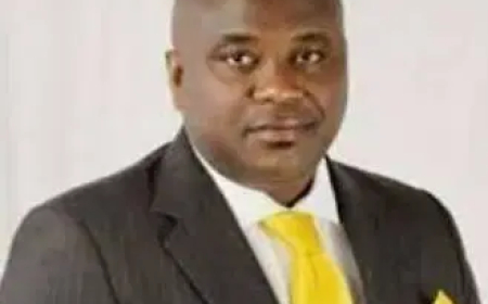 Mangrove Islands: Cameroon’s takeover threatens Nigeria’s sovereignty, warns Senator Bassey