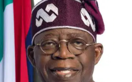 State of Emergency: Tinubu’s action an assault on democracy – APC stalwart