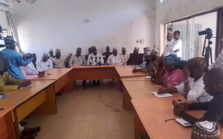 Death toll rises to 56 as meningitis ravages Kebbi