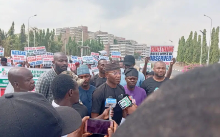 Senator Natasha suspended for unruly conduct, not gender politics – CSOs