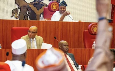 Senate approves emergency rule in Rivers