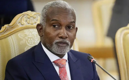 Nigeria facilitated evacuation of Gaza infants to UAE, Jordan, Egypt  —  Minister