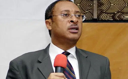 "We don't have democracy anymore," declares the emergency rule—Pat Utomi attacks NASS