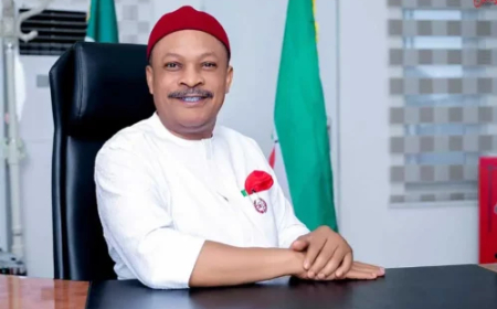 PDP crisis: Anyanwu triumphs, returns as party’s National Secretary