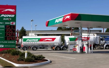 Puma Energy Graduate Program 2025 For Africans | How To Apply