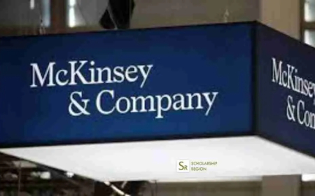 2025 McKinsey & Company Internship Program | Step-by-Step Process