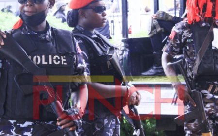 Police arrest eight Ogun secondary school students for cultism