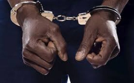Couple arrested for flogging minor over mangoes plucking in Borno