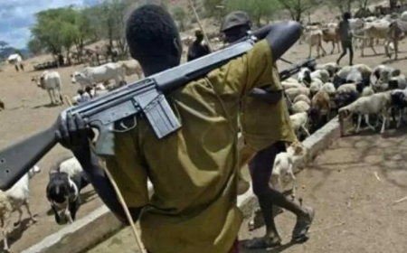 One dead, others injured as suspected herders attack Edo community