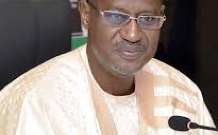 90% Of Nigerian Land Untitled In 140 Years, $300bn Lost – FG