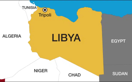 956 Nigerians rescued from Libya in three months