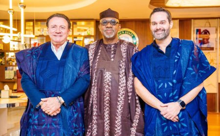 Ogun Strikes Strategic Partnership with Top Brazilian Firms on Power and Agriculture