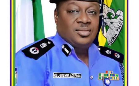Native doctor, 3 others arrested over alleged ritual killing of two children