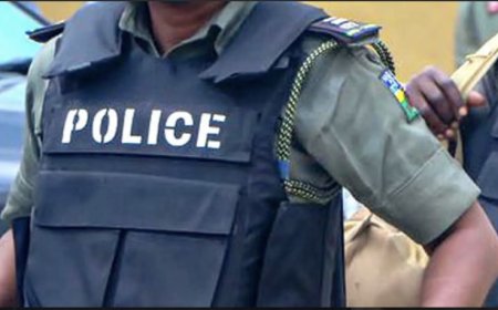 Five Hunters Arrested As Colleague Dies In Tragic Ogun Hunting Accident