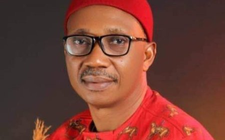 UNIPORT confers professorship on NESREA DG