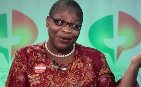 I’m pleased with my verbal exchange with Nwebonyi – Ezekwesili