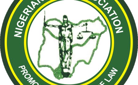 Reps pass bill empowering NBA to remove erring judges through no-confidence vote