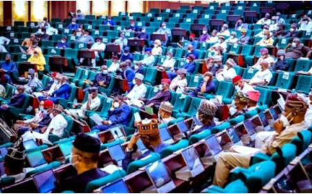 Bills To Create Ijebu, Three Other States Scale Second Reading