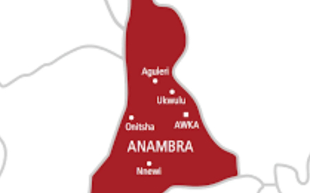 Nine Months After Abduction, Onitsha Woman Begs Security Agencies To Find Missing Husband