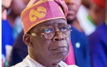 Tinubu approves 4 new members to NCDMB Governing Council