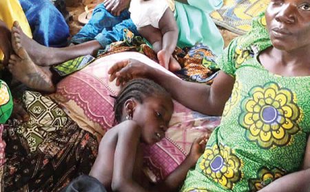 807 meningitis cases, 74 deaths recorded in 22 states – NCDC