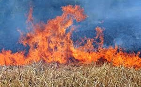 Farmer collapses as fire burns his N16m yam barn