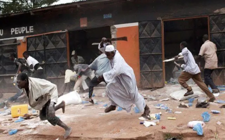 Tension in Benue as Miyetti Allah alleges 20 cows poisoned, 200 rustled