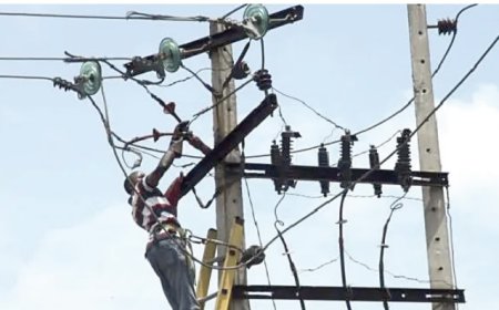 Firm donates 5-megawatt electricity project to Ondo