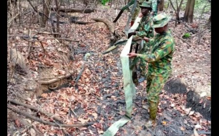 Soldiers destroy 18 illegal refineries in N’Delta, arrest 39 suspects