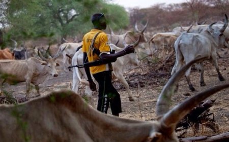 Suspected Fulani Herdsmen Butcher Young Graduate In Abuja
