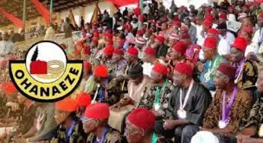 Ohanaeze Ndigbo to amend constitution, calls for suggestions