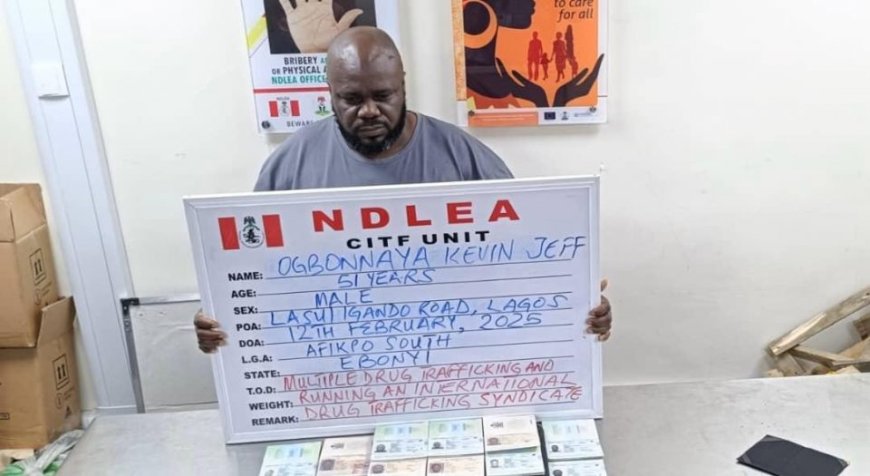 NDLEA arrests wanted drug baron in Lagos after 17 years