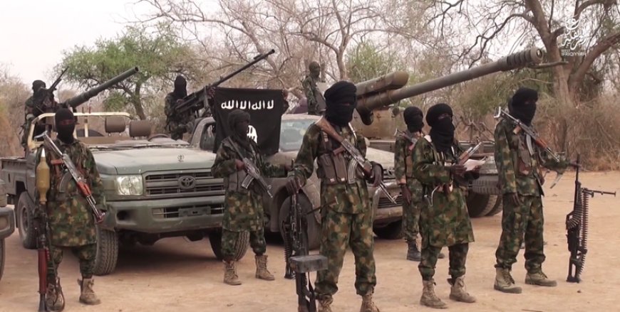 Boko Haram abducts army varsity Professor, others in Borno