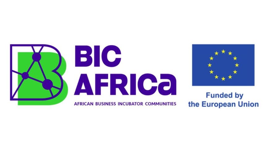 BIC Africa Acceleration Programme 2025 | How To Apply