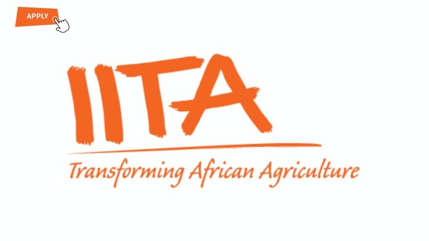 Job at IITA – International Institute of Tropical Agriculture