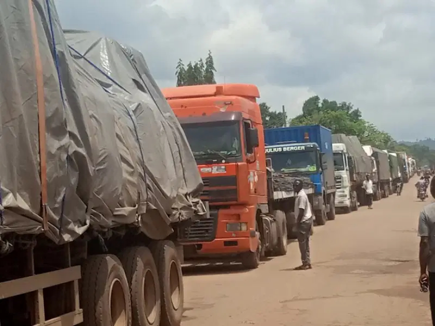 ACF condemns attacks on drivers of trucks in South East