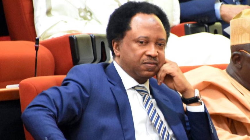 I nearly got suspended for revealing senators’ allowances in 2018 – Shehu Sani