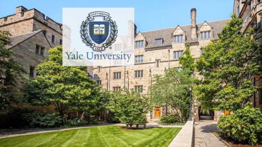 2025 Yale University Scholarships in USA | How To Apply