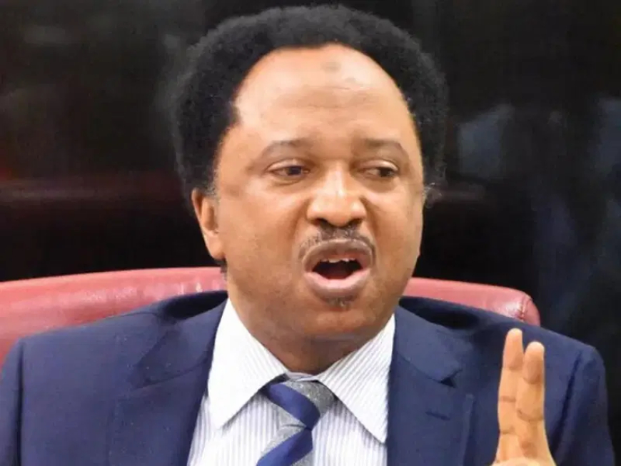 Why I lost my senate re-election bid in 2019 – Shehu Sani