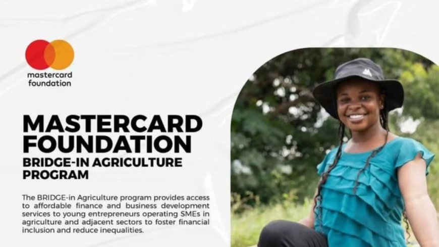 2025 Mastercard Foundation BRIDGE-in Agriculture Program | How To Apply