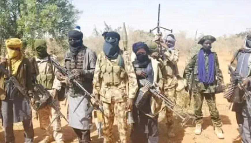 Lakurawa terrorists kill 13, burn 7 villages in latest Kebbi attack