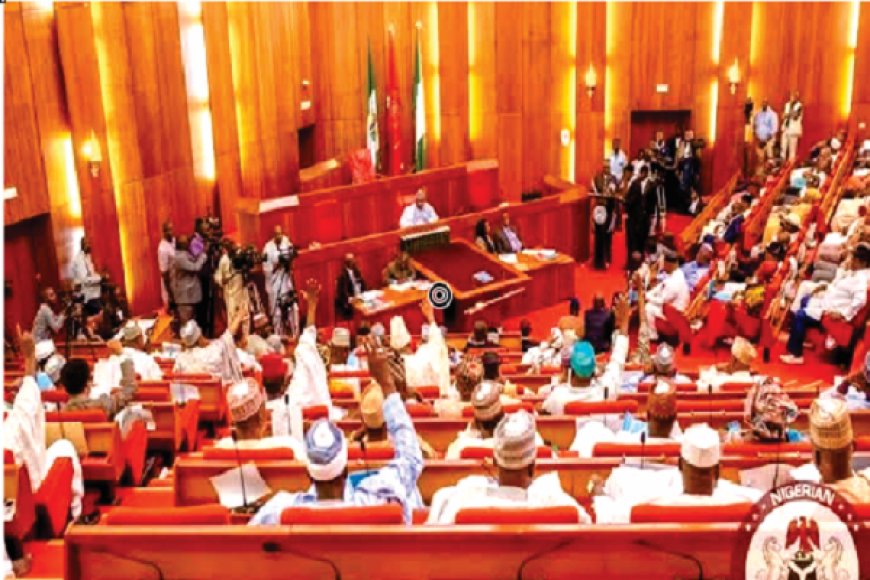 Senate probes alleged annexation of Nigerian territories by Cameroon