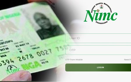 Lagos, Kano lead as 117 million Nigerians get NIN 