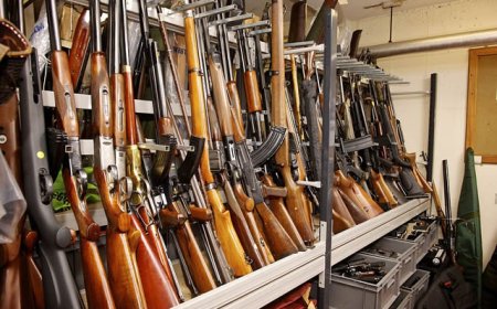 Insecurity: States vote N214bn for arms, other