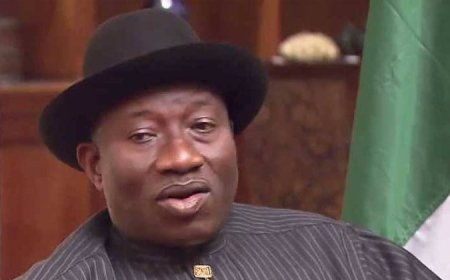 Jonathan has set example in political maturity, says council