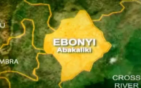 Ebonyi land dispute: We’ve lost over 100 people within five years, says Onicha Chairman