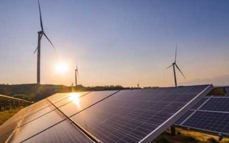 Solar import ban risks backfiring in energy-starved Nigeria”